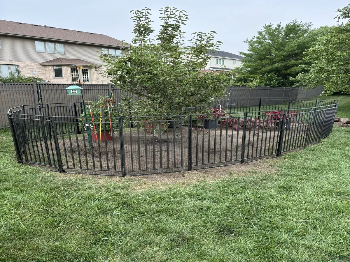 Garden renovation after