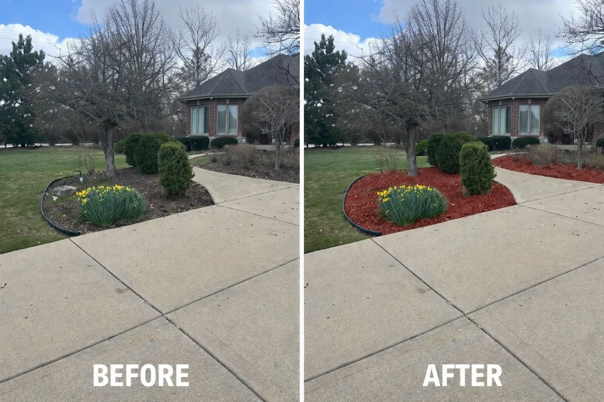 Before and after photos of mulch installation