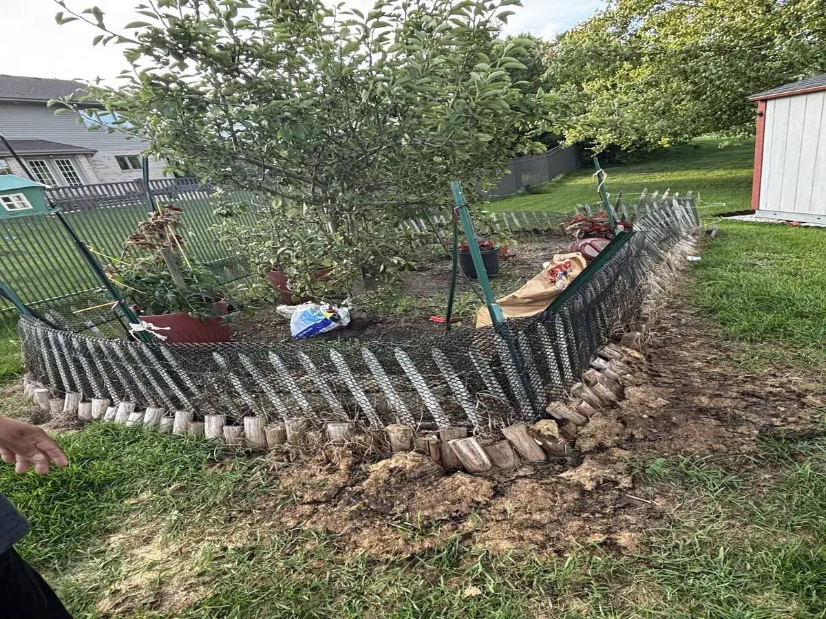 Garden renovation before
