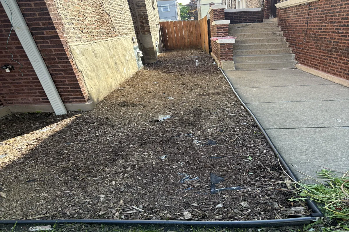 Before view just dirt